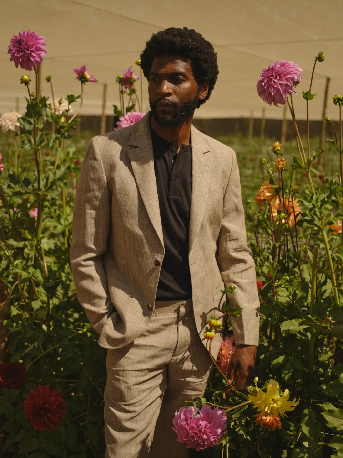 Wax London Reconsiders the Suit for Summer